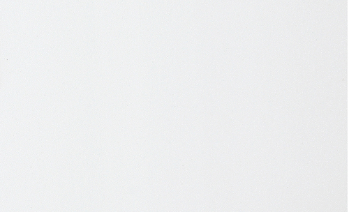 记忆绵 081